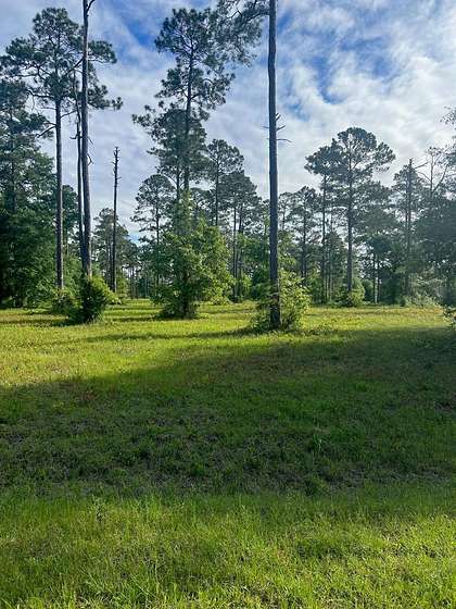 0.75 Acres of Residential Land for Sale in Cordele, Georgia