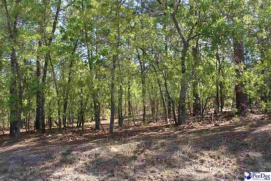 2 Acres of Residential Land for Sale in Hartsville, South Carolina