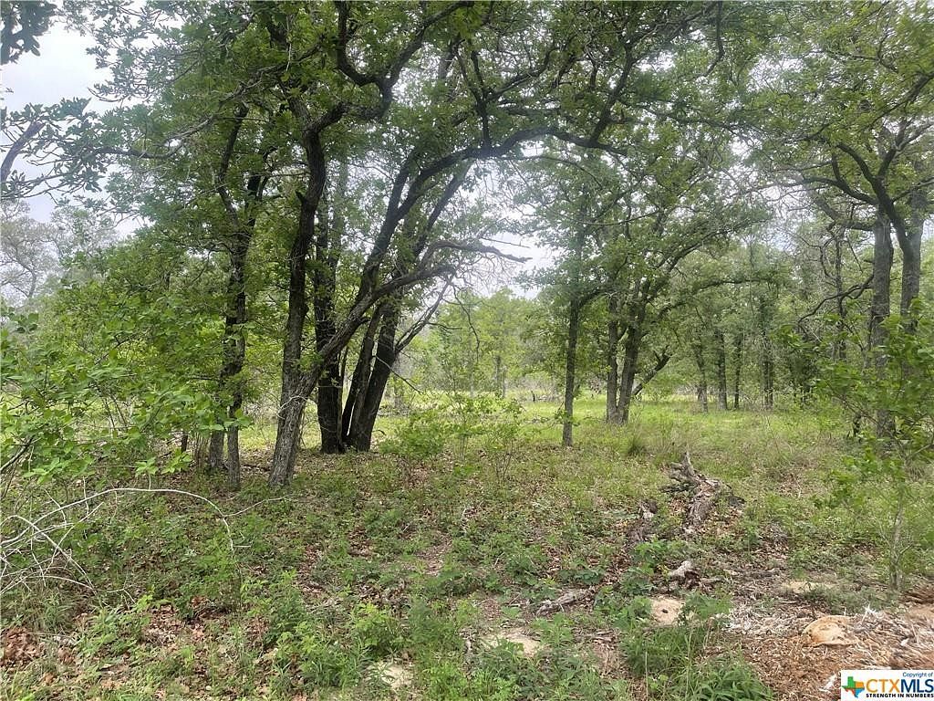 19.9 Acres of Land for Sale in Stockdale, Texas