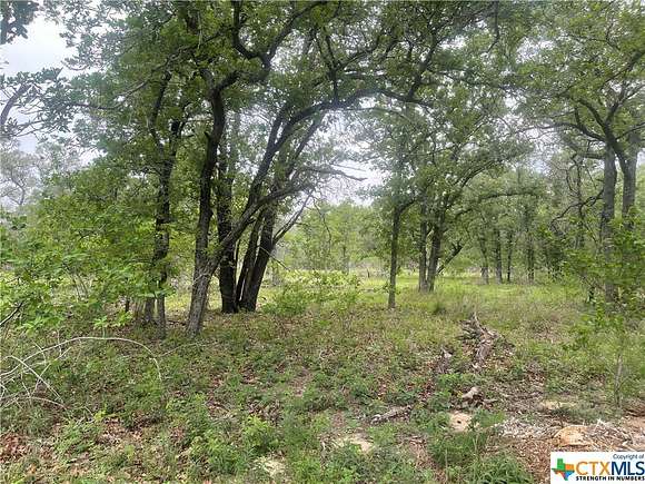 19.94 Acres of Recreational Land for Sale in Stockdale, Texas