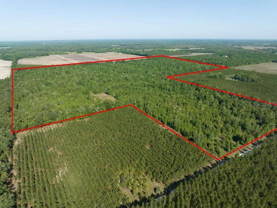 110 Acres of Agricultural Land for Sale in Live Oak, Florida