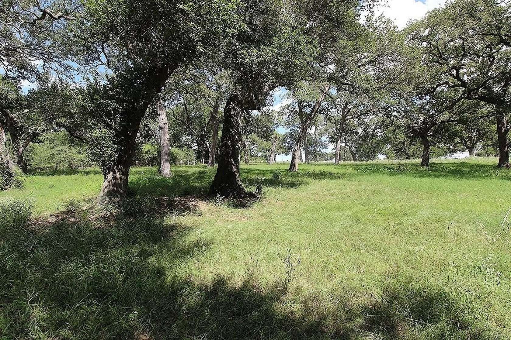 23.9 Acres of Recreational Land for Sale in Schulenburg, Texas