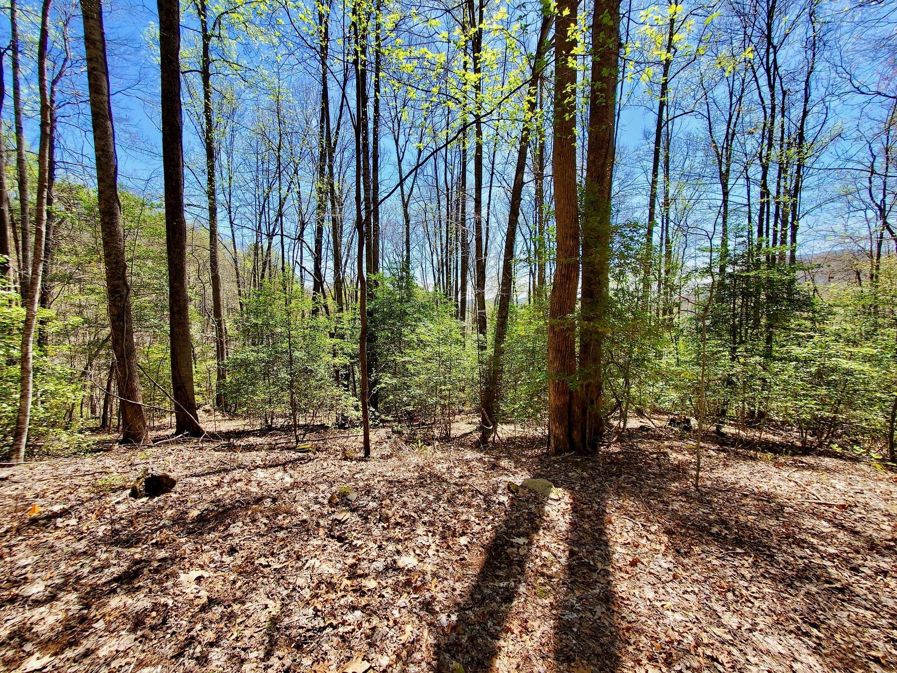 1.4 Acres of Residential Land for Sale in Sylva, North Carolina