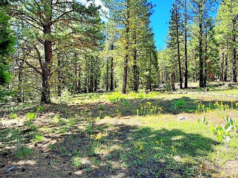 0.98 Acres of Residential Land for Sale in Alturas, California