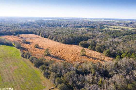 78.1 Acres of Land for Sale in Magnolia Springs, Alabama