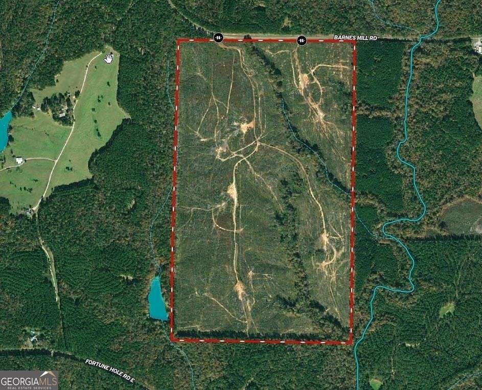 248 Acres of Land for Sale in Hamilton, Georgia
