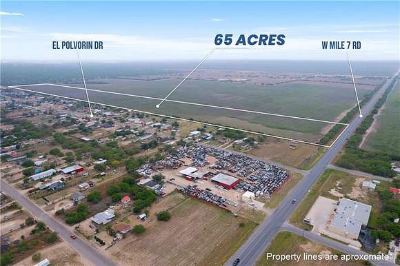 65 Acres of Mixed-Use Land for Sale in Penitas, Texas