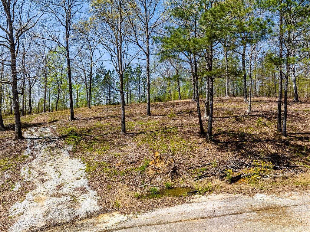 0.96 Acres of Residential Land for Sale in Cedar Grove, Tennessee