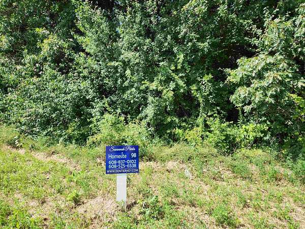 0.31 Acres of Residential Land for Sale in Deerfield, Wisconsin