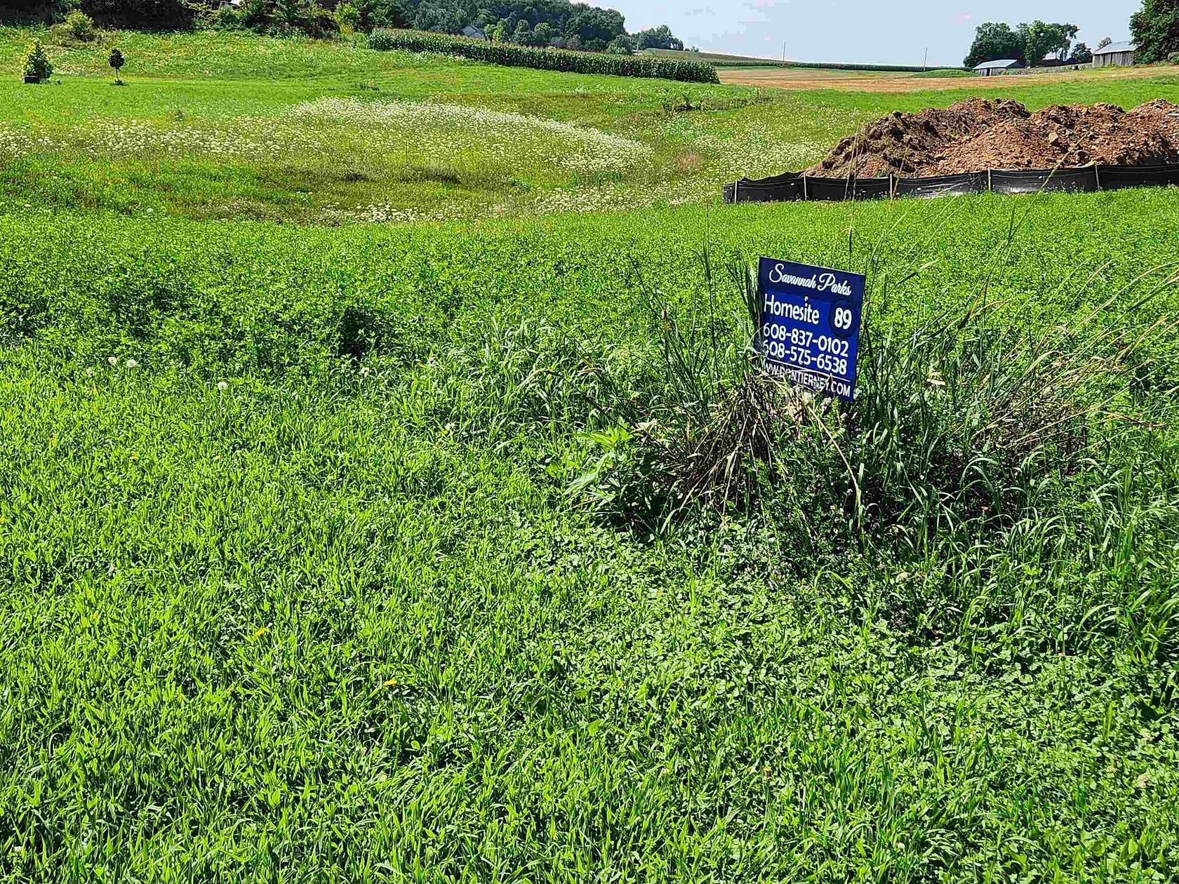 0.26 Acres of Residential Land for Sale in Deerfield, Wisconsin