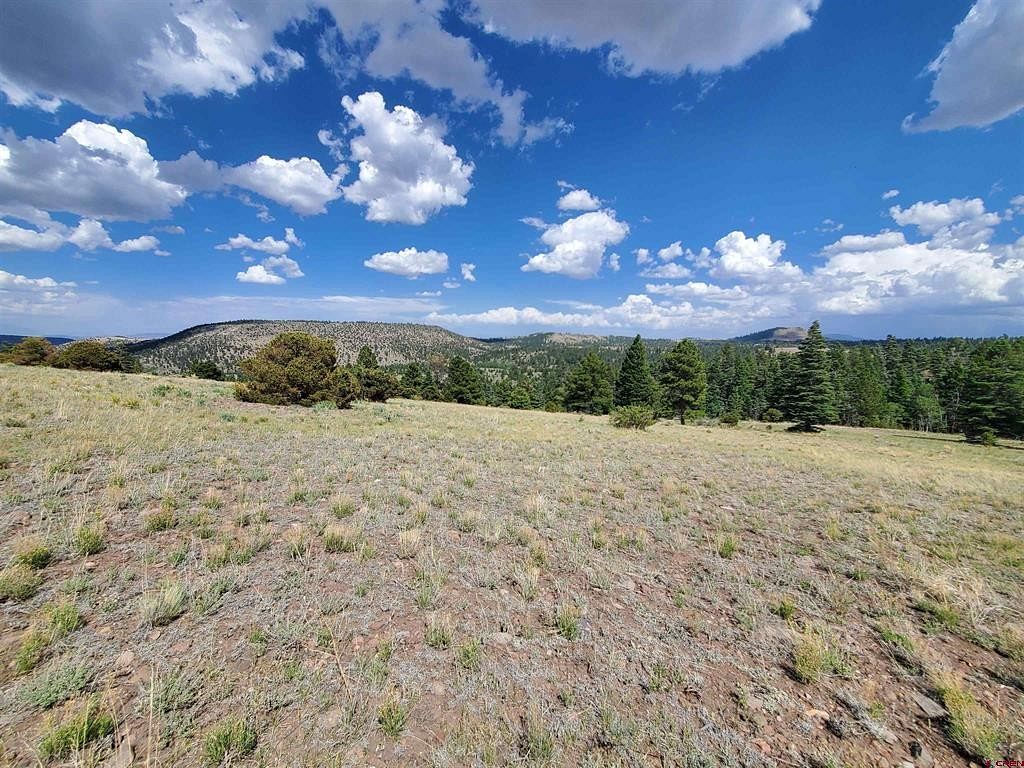 35.5 Acres of Land for Sale in Antonito, Colorado
