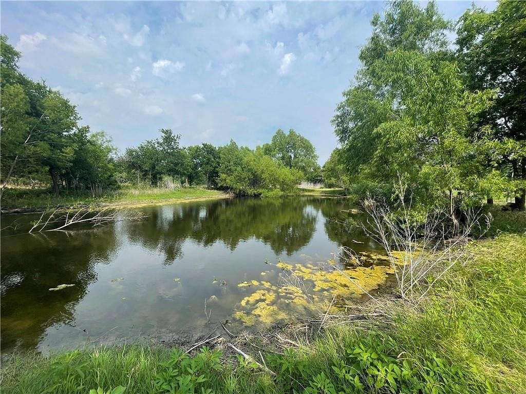 51.3 Acres of Agricultural Land for Sale in Taylor, Texas