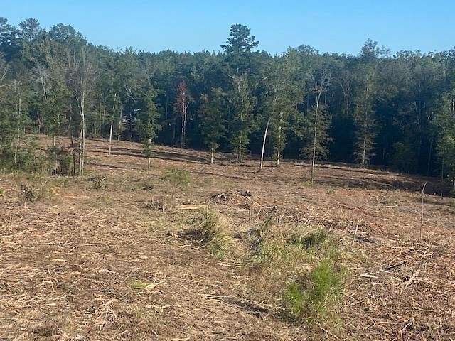 2 Acres of Residential Land for Sale in Waynesboro, Mississippi