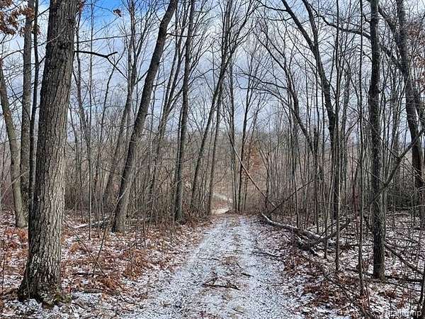 39.5 Acres of Recreational & Residential Land for Sale in Rust Township, Michigan
