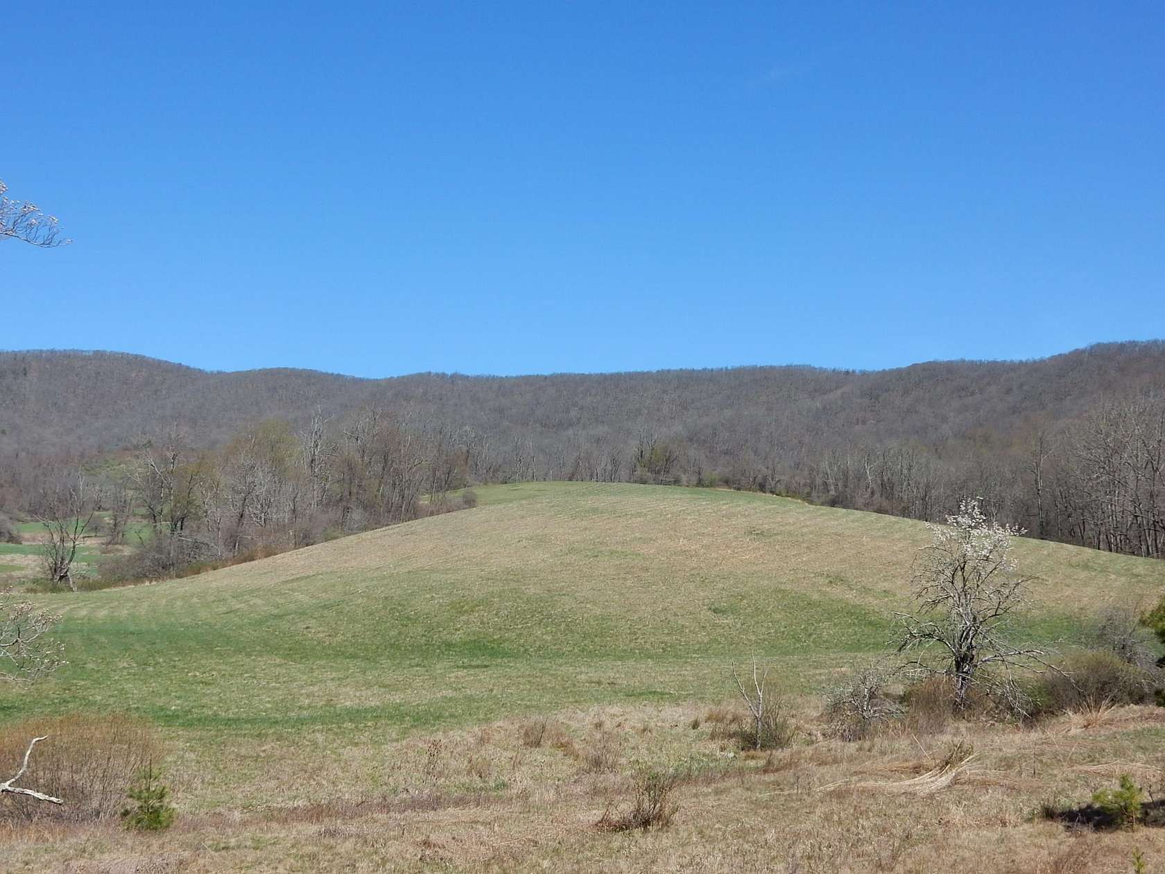 50 Acres of Agricultural Land for Sale in Warm Springs, Virginia