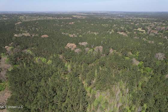 80 Acres of Recreational Land for Sale in Kosciusko, Mississippi