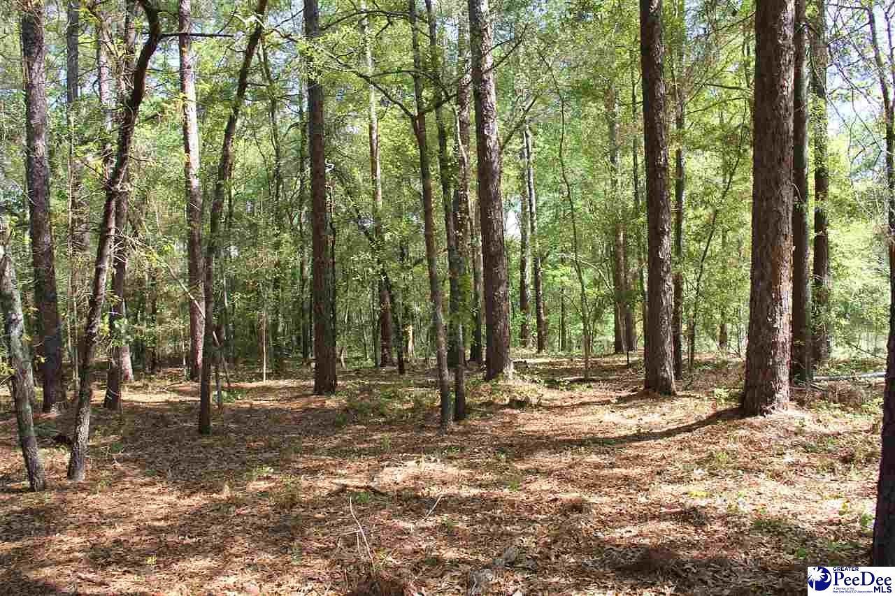 0.5 Acres of Residential Land for Sale in Hartsville, South Carolina