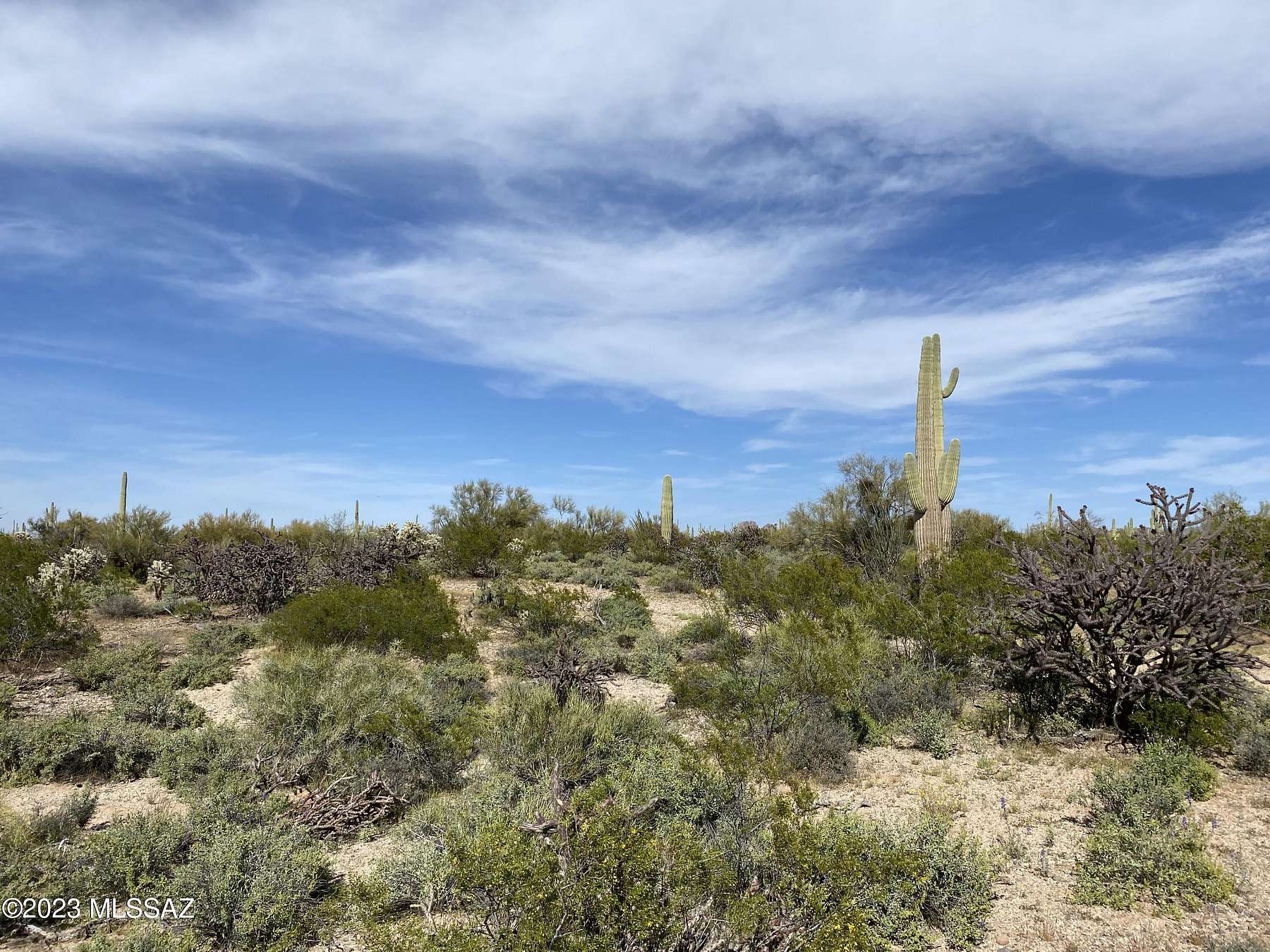 40 Acres of Recreational Land for Sale in Marana, Arizona