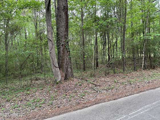 4 Acres of Residential Land for Sale in Pearl, Mississippi