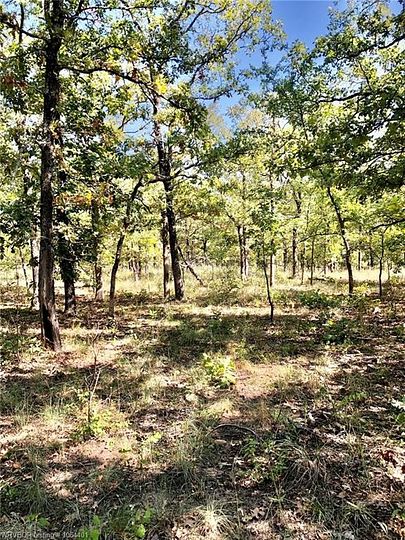 40 Acres of Recreational Land for Sale in Eufaula, Oklahoma
