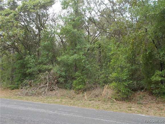 1.04 Acres of Residential Land for Sale in Lecanto, Florida