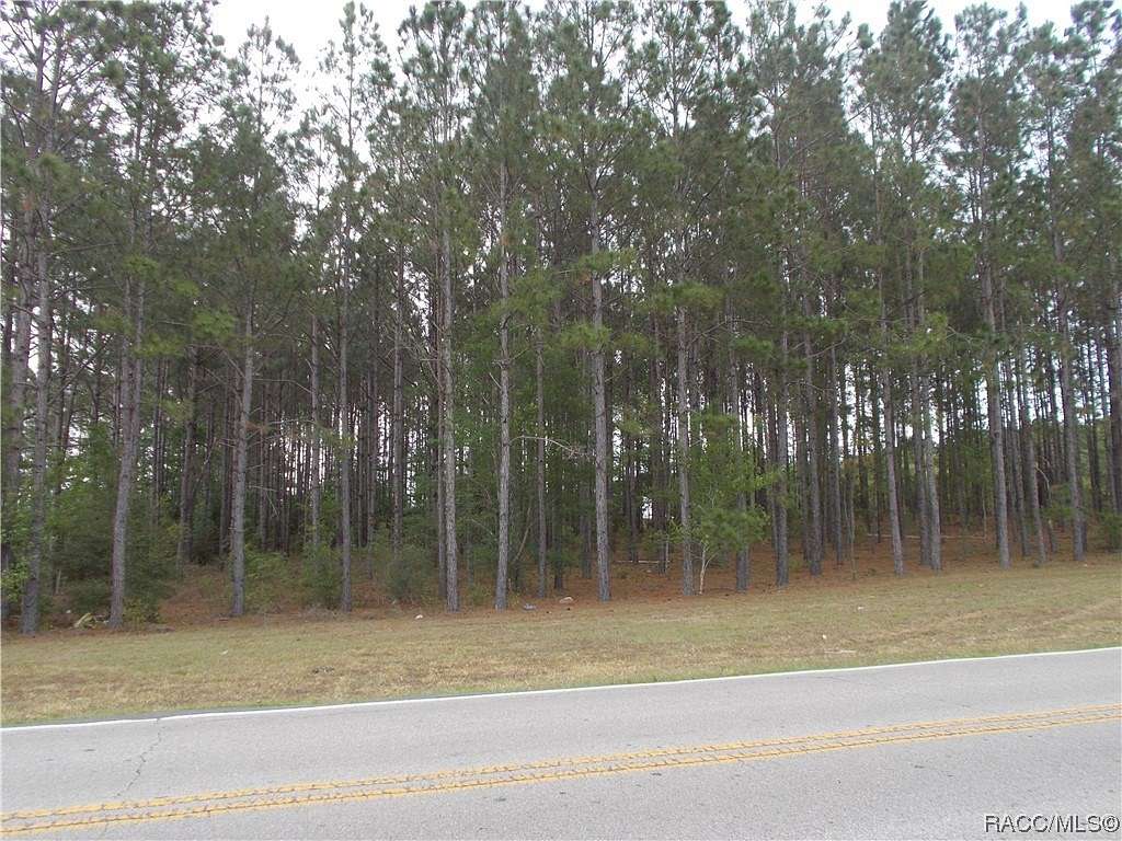 1.01 Acres of Residential Land for Sale in Lecanto, Florida