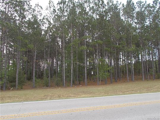 1 Acre of Residential Land for Sale in Lecanto, Florida