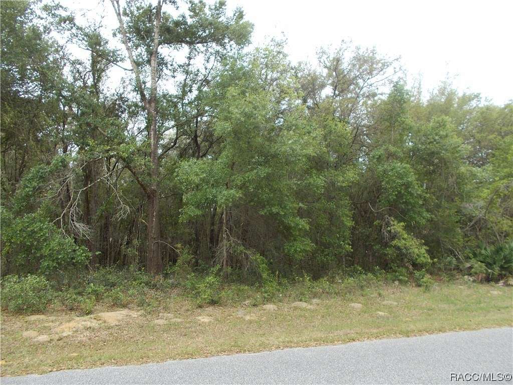 0.65 Acres of Residential Land for Sale in Inverness, Florida