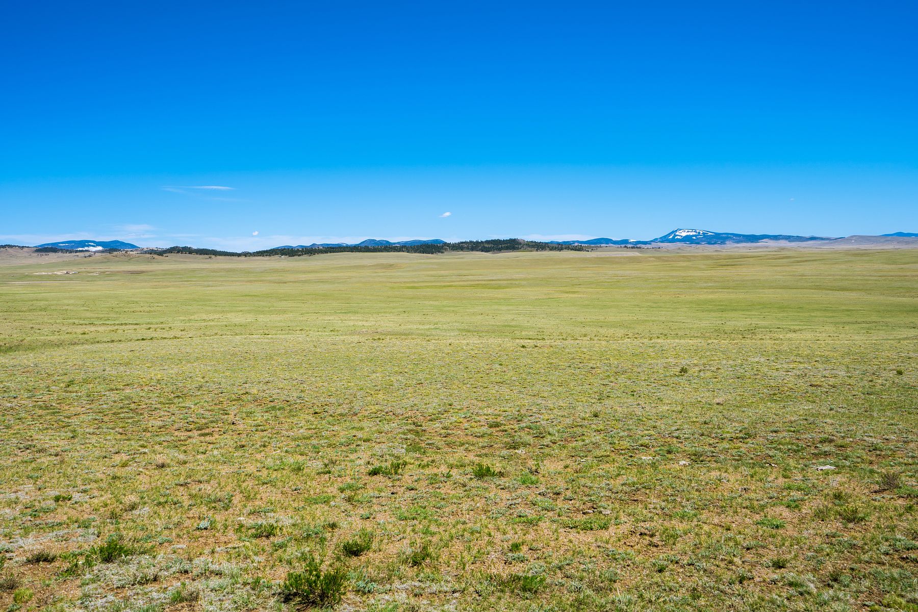 40 Acres of Land for Sale in Hartsel, Colorado LandSearch