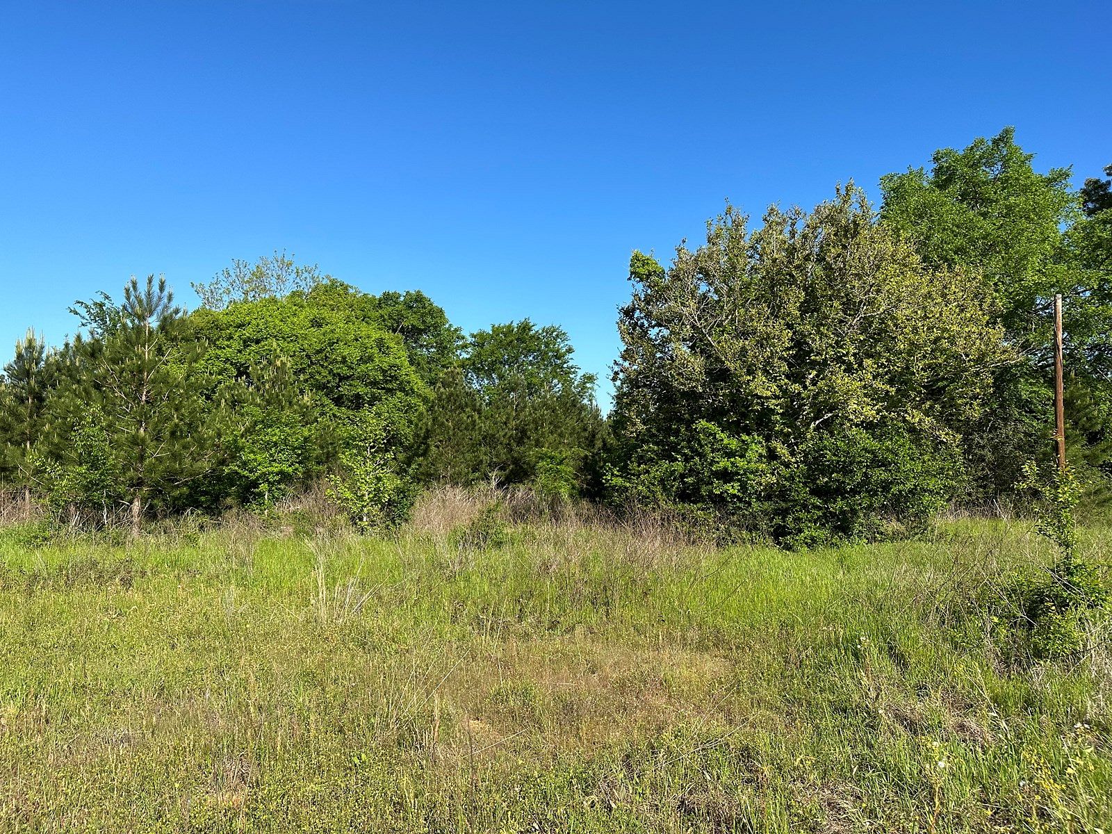 17.1 Acres of Commercial Land for Sale in Alto, Texas