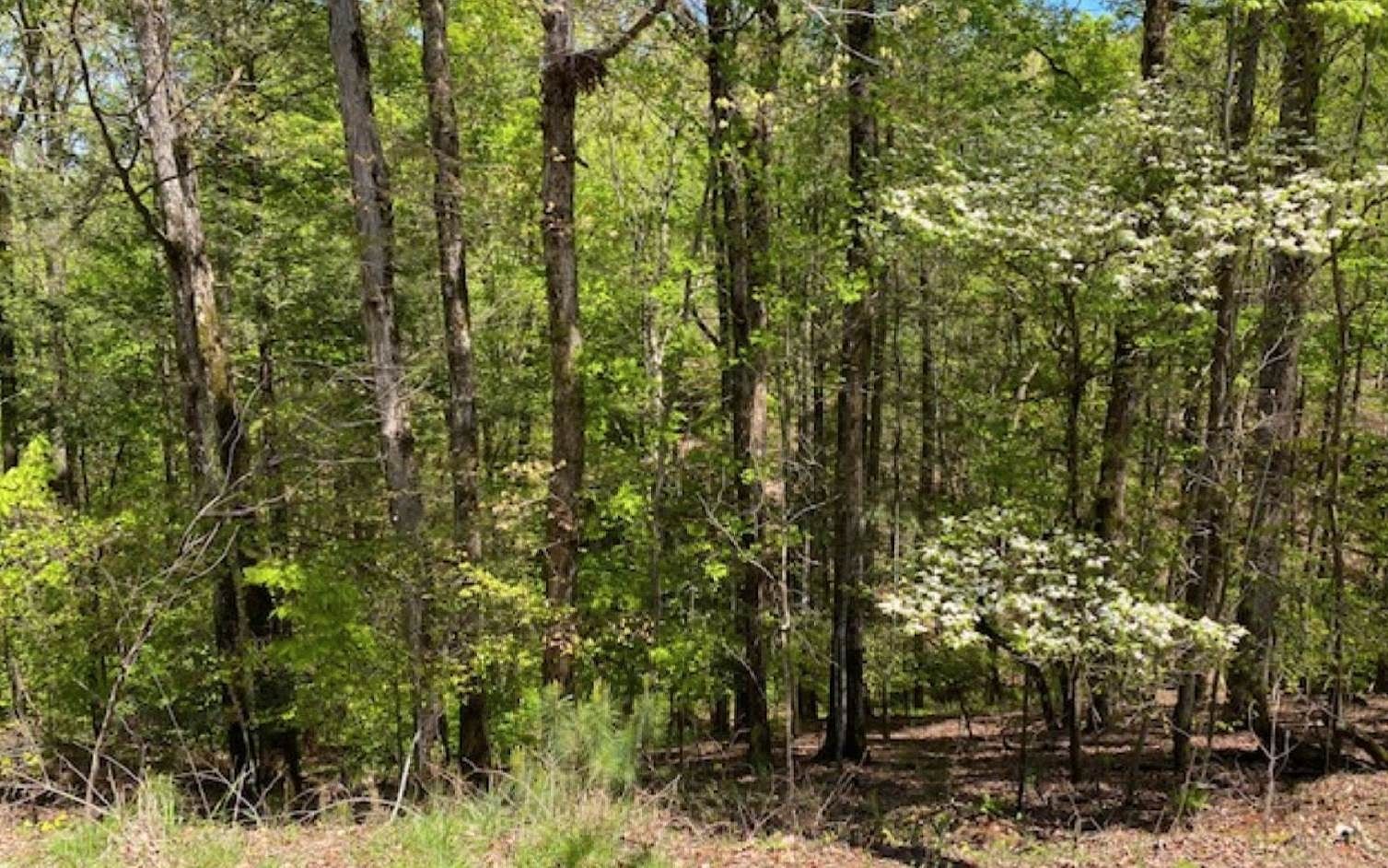 0.52 Acres of Land for Sale in Ellijay, Georgia