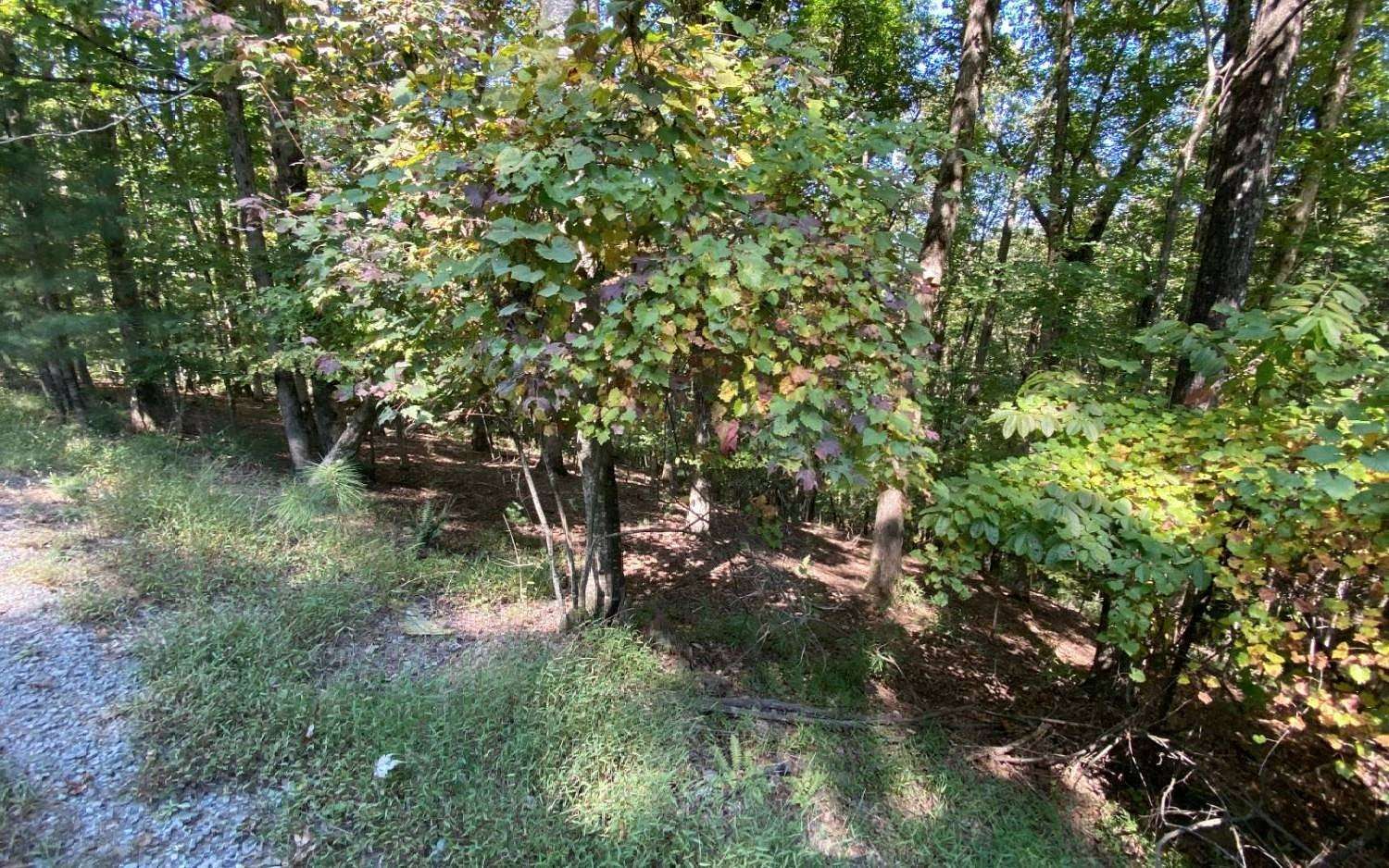 0.54 Acres of Land for Sale in Ellijay, Georgia