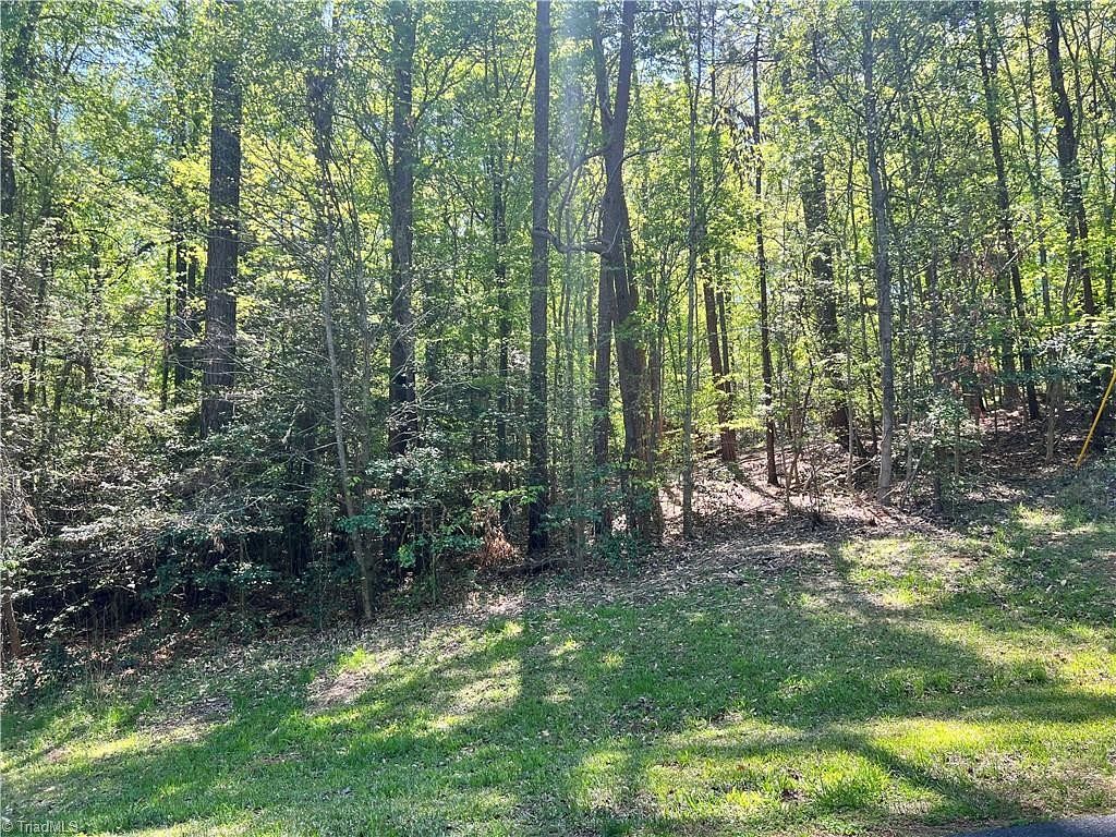 0.38 Acres of Residential Land for Sale in Mount Gilead, North Carolina