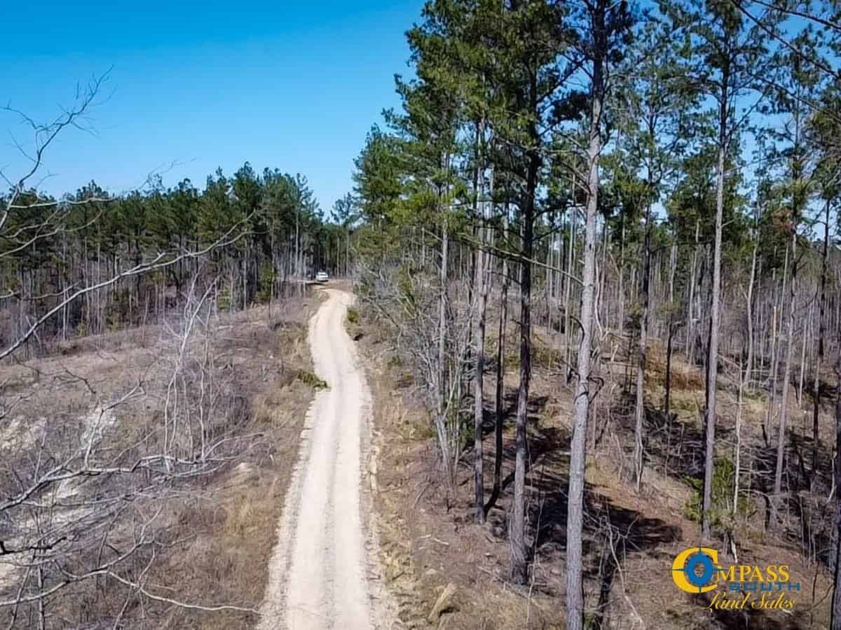 49 Acres of Recreational Land for Sale in Henderson, Tennessee