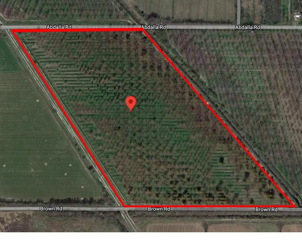 39.7 Acres of Agricultural Land for Sale in Quemado, Texas