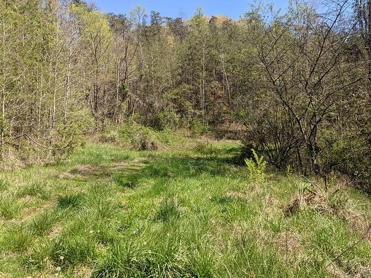 175 Acres of Recreational Land for Sale in Tazewell, Tennessee