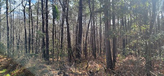 14.6 Acres of Land for Sale in Summerville, South Carolina
