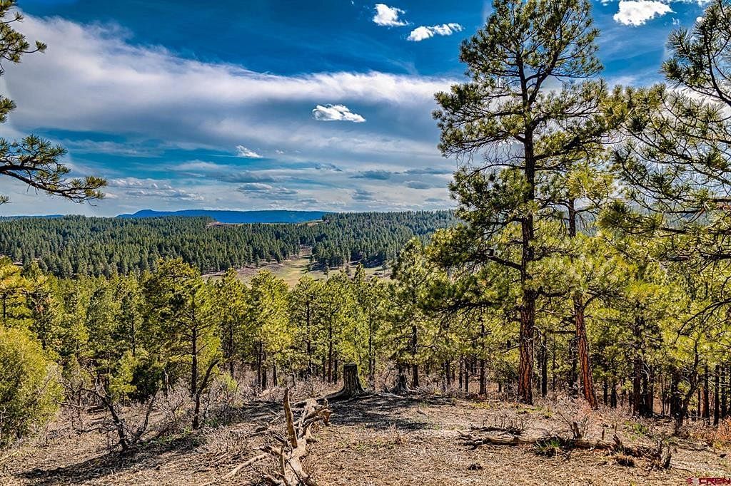 35 Acres of Land for Sale in Pagosa Springs, Colorado