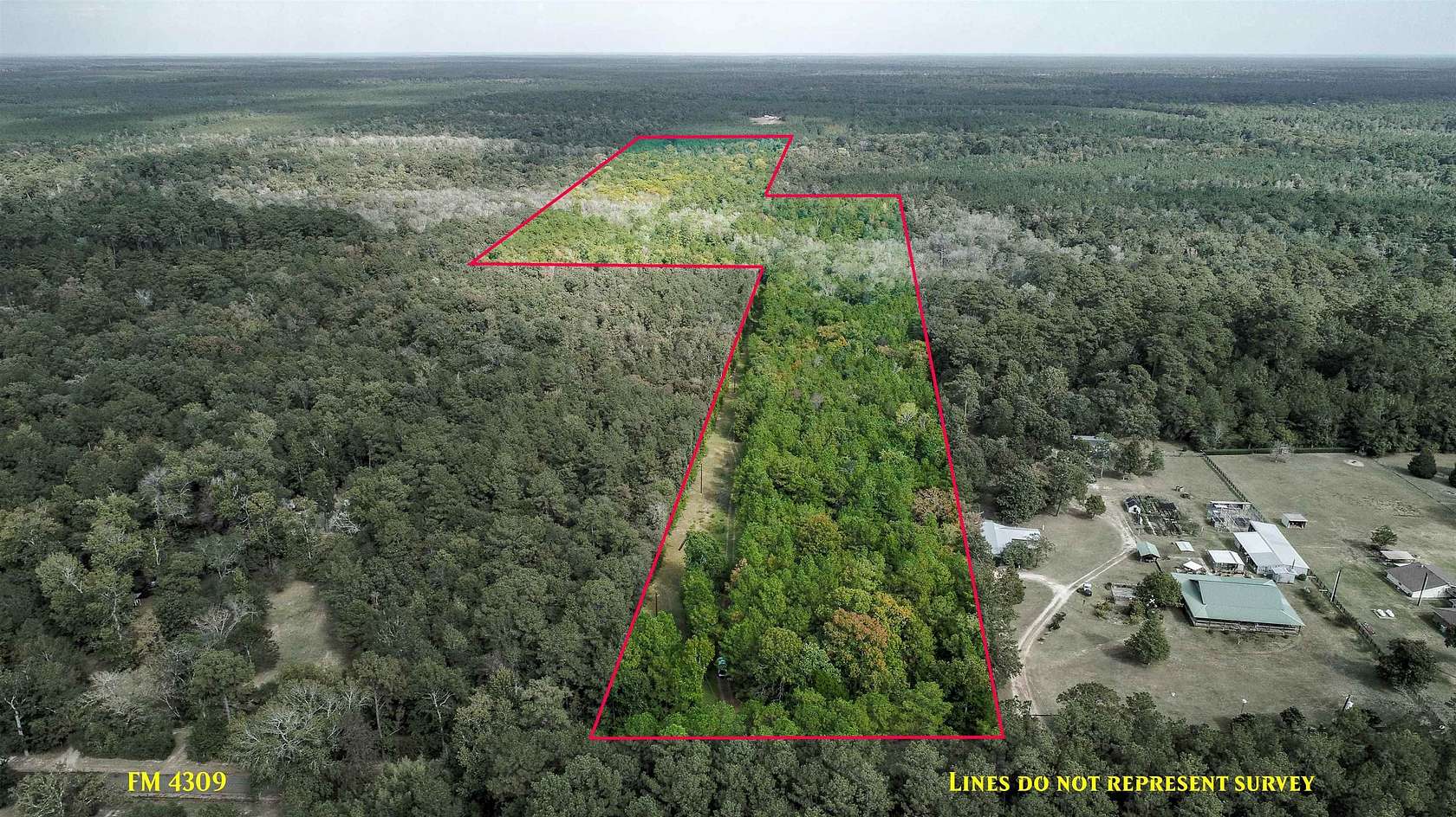 51.9 Acres of Land for Sale in Hillister, Texas