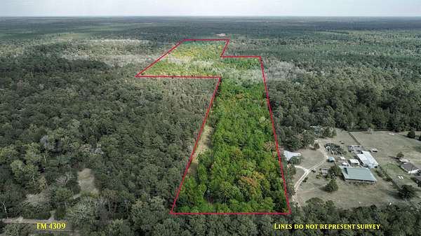 51.9 Acres of Land for Sale in Hillister, Texas