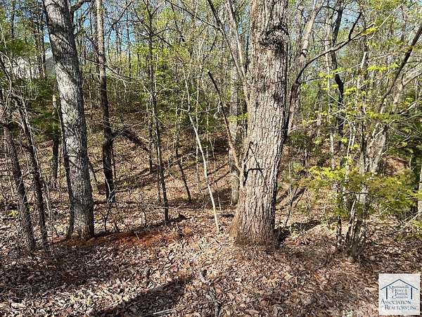 4.73 Acres of Residential Land for Sale in Stuart, Virginia