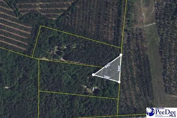 1 Acre of Residential Land for Sale in Florence, South Carolina