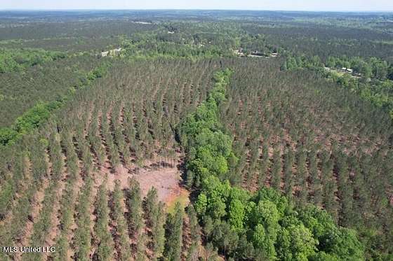 80 Acres of Land for Sale in Heidelberg, Mississippi