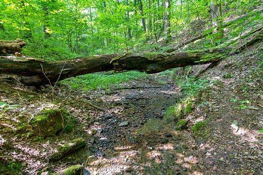 240 Acres of Recreational Land for Sale in Mount Pleasant, Tennessee