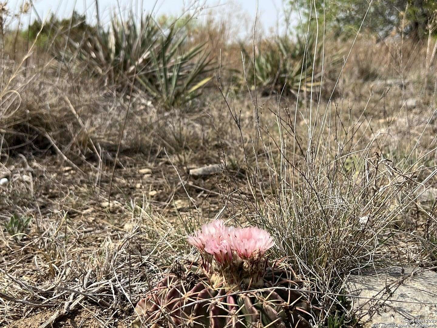 20 Acres of Land for Sale in Hamilton, Texas