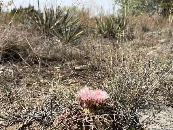 20 Acres of Land for Sale in Hamilton, Texas