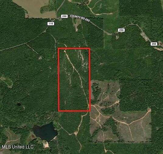 80 Acres of Recreational Land for Sale in Vossburg, Mississippi