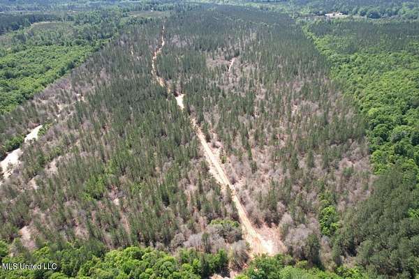 80 Acres of Recreational Land for Sale in Vossburg, Mississippi