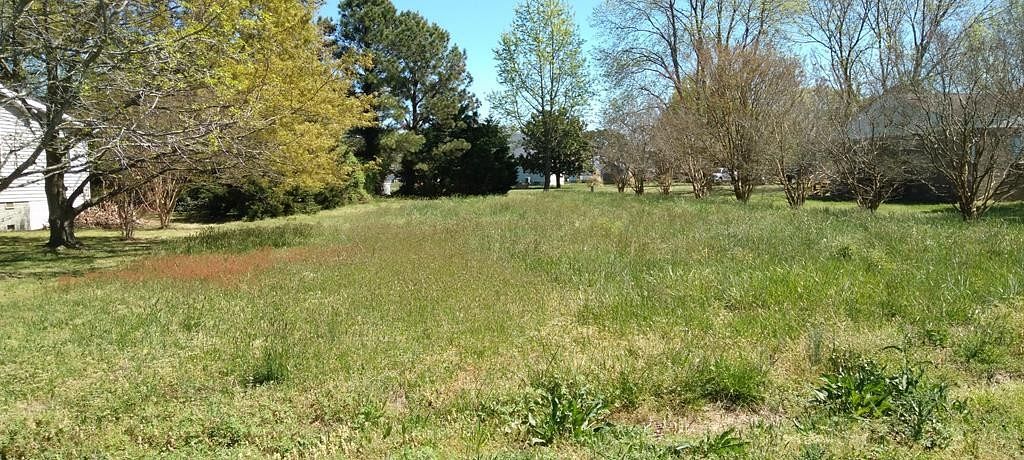 0.25 Acres of Residential Land for Sale in Painter, Virginia