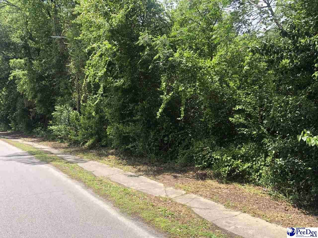 1 Acre of Residential Land for Sale in Florence, South Carolina
